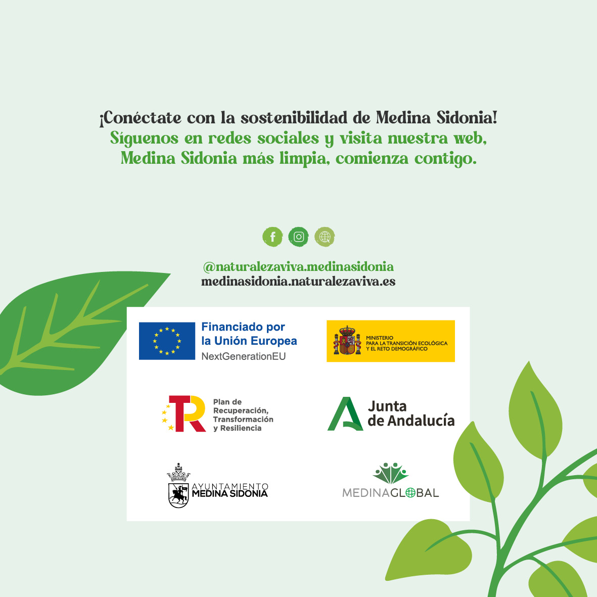 Pieza de redes sociales de la campaña