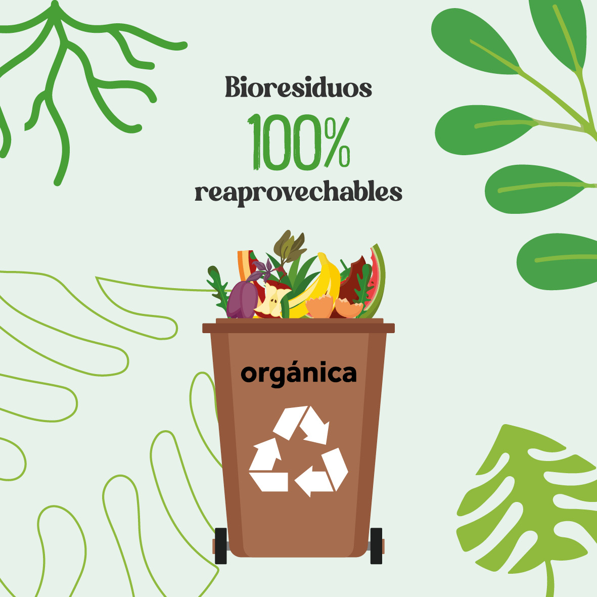Material promocional sobre biorresiduos reaprovechables