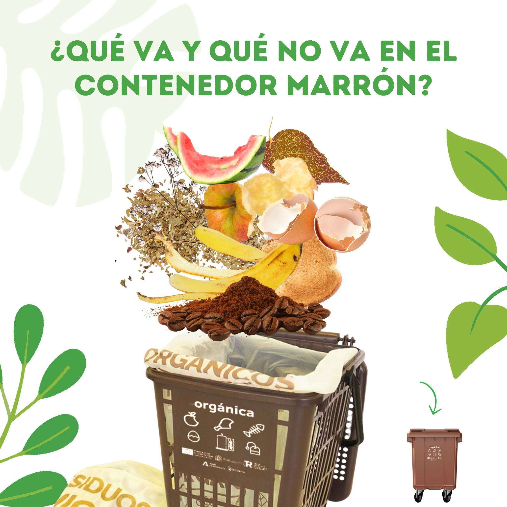 Material sobre qué residuos van al contenedor marrón