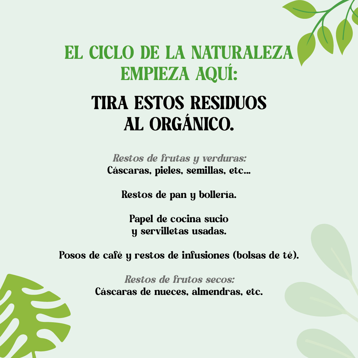 Ejemplos de residuos que sí deben depositarse en el contenedor orgánico